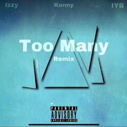 Too many (feat. IZZ1 & K3NNY) [iNine JTB Remix] [Explicit]