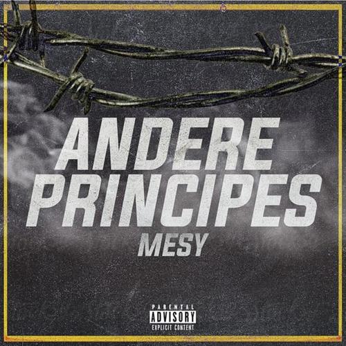 Andere Principes (Explicit)