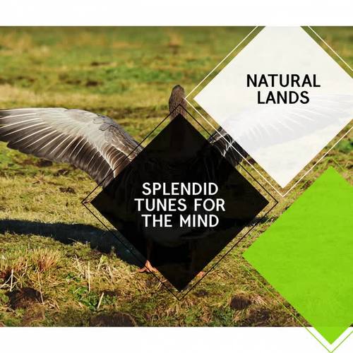 Splendid Tunes for the Mind - Natural Lands