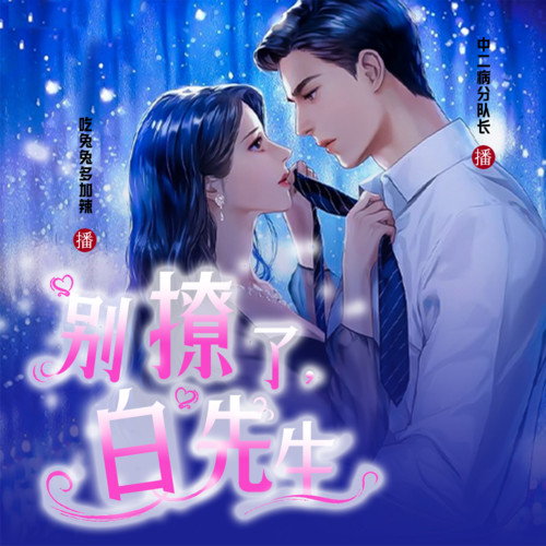 别撩了,白先生|精品多播有声剧|总裁甜宠|复仇虐渣