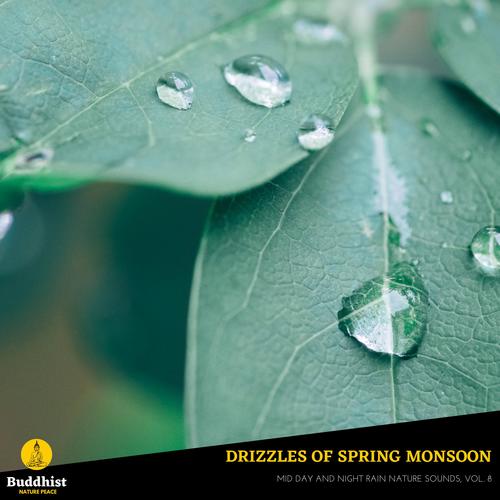 Drizzles of Spring Monsoon - Mid Day and Night Rain Nature Sounds, Vol. 8