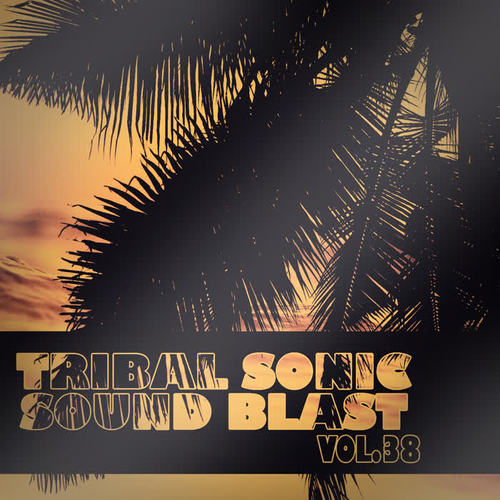 Tribal Sonic Soundblast,Vol.38