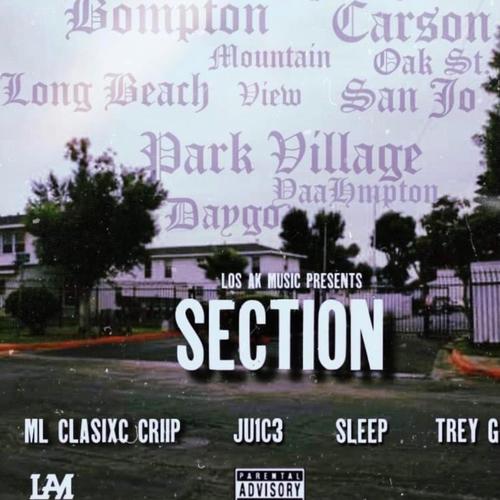 SECTION (Explicit)