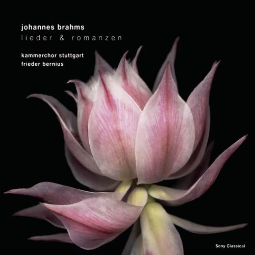 Brahms: Lieder und Romanzen