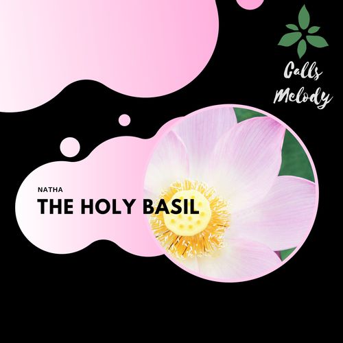 The Holy Basil