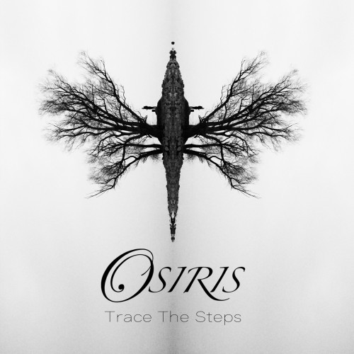 Trace the Steps