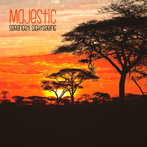 Majestic Serengeti Sightseeing