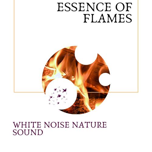 Essence Of Flames - White Noise Nature Sound