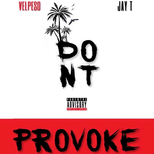 Don't Provoke (feat. Jay T) [Radio Edit]