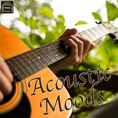 Acoustic Moods