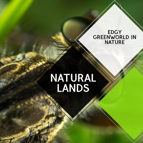 Natural Lands - Edgy Greenworld in Nature