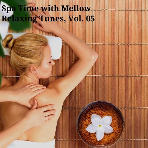 Spa Time with Mellow Relaxing Tunes, Vol. 05