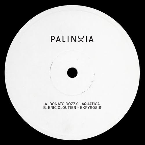 Palinoia LTD 001