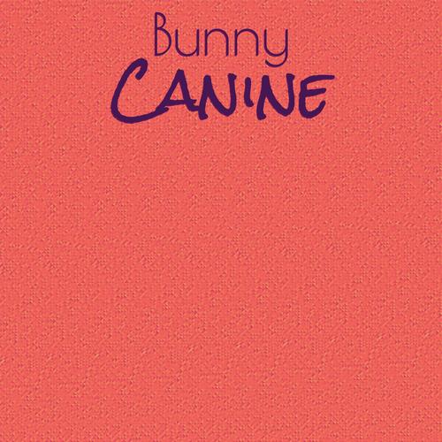 Bunny Canine