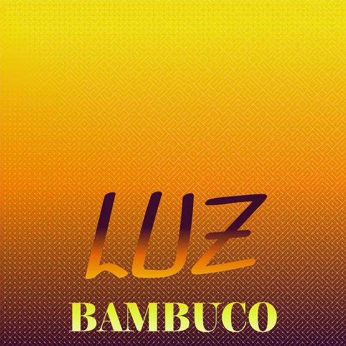 Luz Bambuco