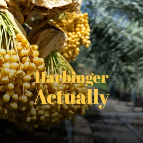 Harbinger Actually