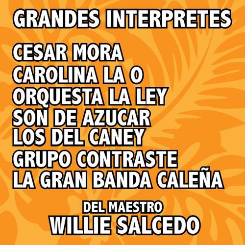 GRANDES INTERPRETES DEL MAESTRO WILLIE SALCEDO (ÉXITOS)