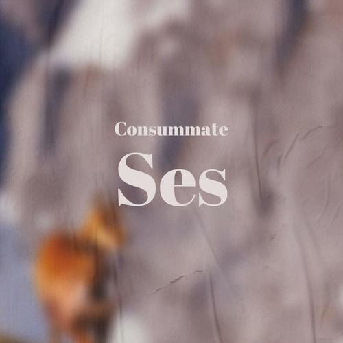 Consummate Ses