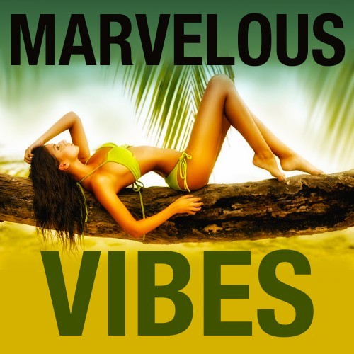 Marvelous Vibes (House Selection)