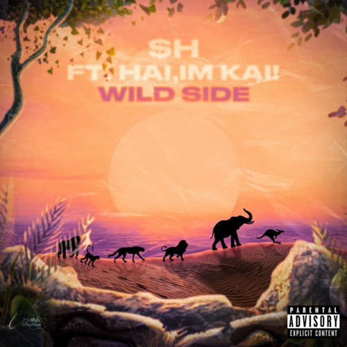 Wild Side (Explicit)