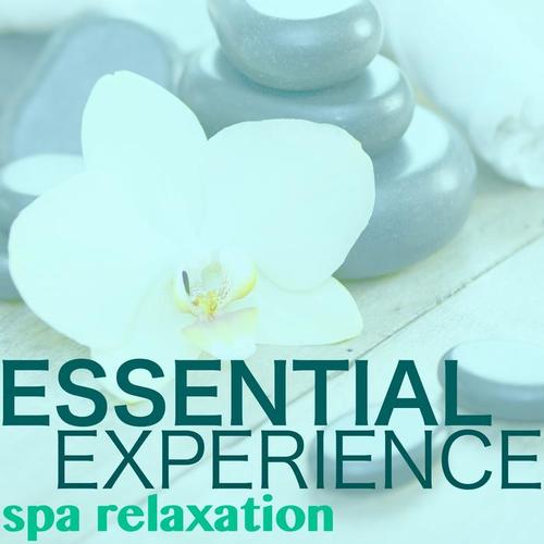 Essential Experience - Spa Relaxation: Lounge & Chillout Sounds for Deep Relaxation, Massage, Sauna, Hammam & Meditation