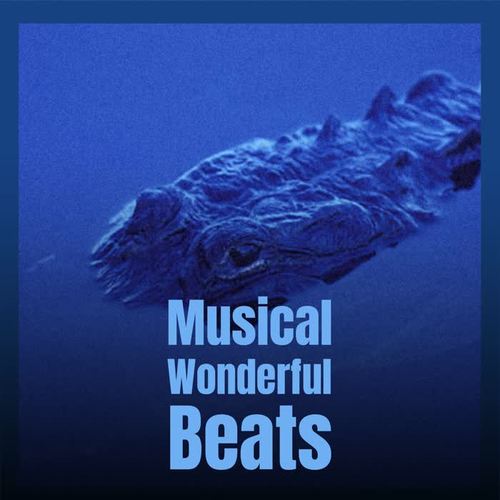 Musical Wonderful Beats