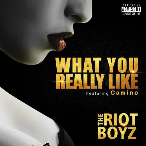 What You Really Like (feat. Camino) (Explicit)