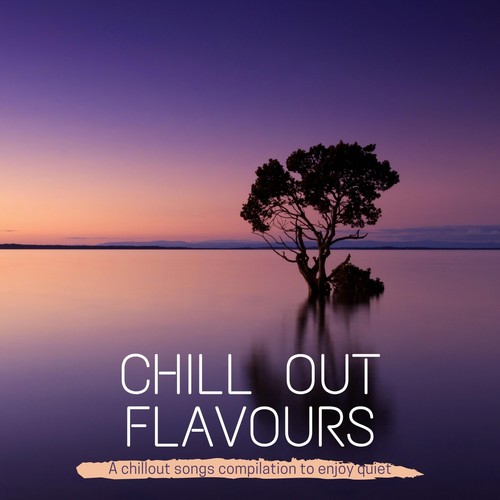 Chill out Flavours ( a Chillout Songs to Enjoy Quiet )