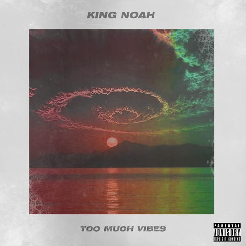 Too Much Vibes (Explicit)