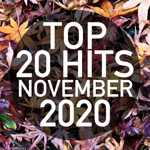 Top 20 Hits November 2020 (Instrumental)