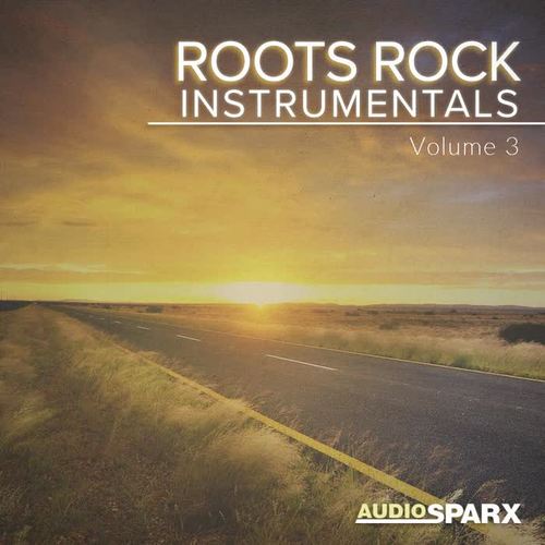 Roots Rock Instrumentals Volume 3