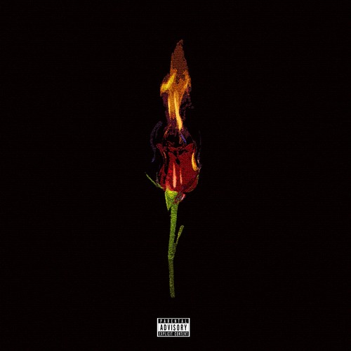 No Flowers Necessary (Explicit)