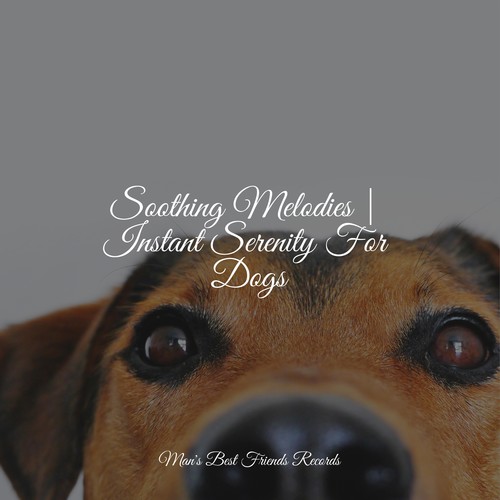 Soothing Melodies | Instant Serenity For Dogs