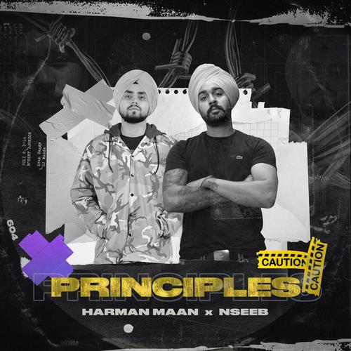 Principles (feat. Nseeb) [Explicit]