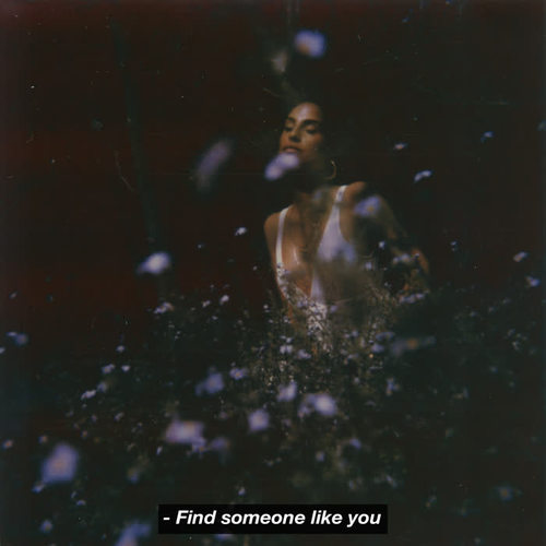 Find Someone Like You