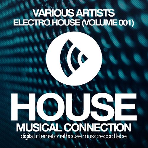 Electro House (Volume 001)