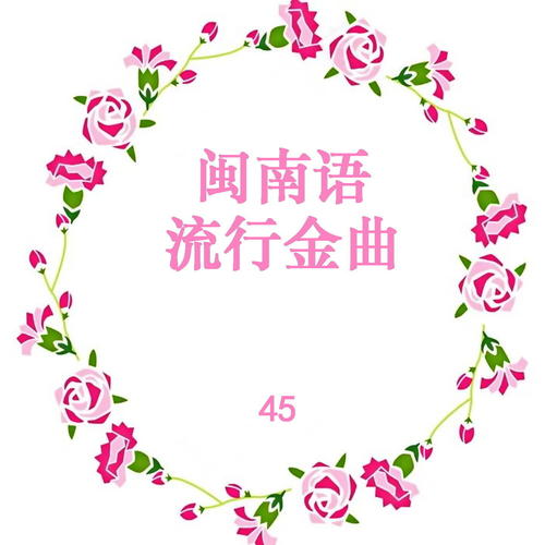 闽南语流行金曲 45