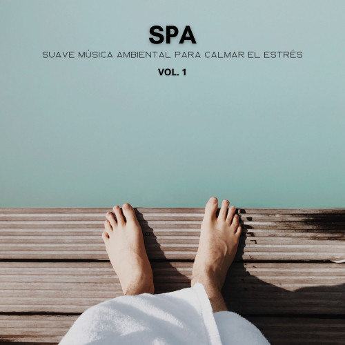 Spa: Suave Música Ambiental Para Calmar El Estrés Vol. 1