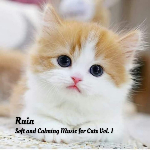 Rain: Soft and Calming Music for Cats Vol. 1