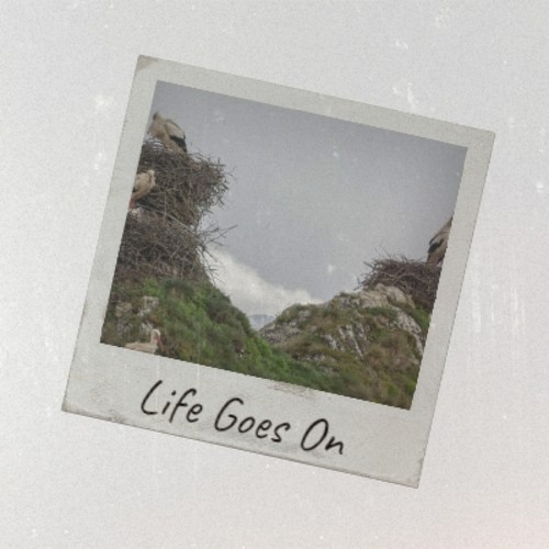 Life Goes On