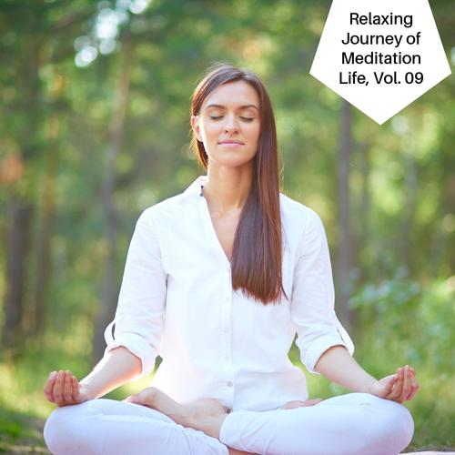 Relaxing Journey Of Meditation Life, Vol. 09