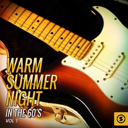 Warm Summer Night in the 60's, Vol. 1