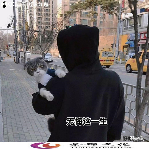 无悔这一生