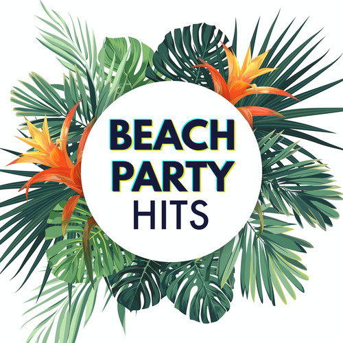 Beach Party Hits (Explicit)