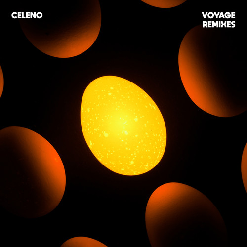 Voyage Remixes