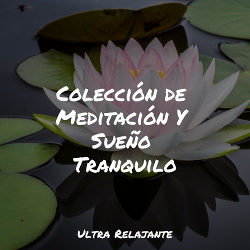 Colección de Meditación Y Sueño Tranquilo