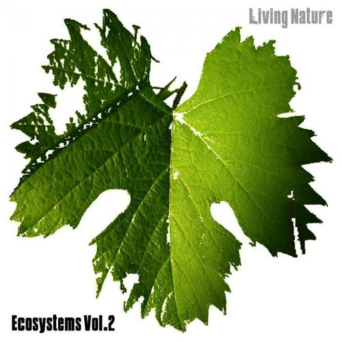 Ecosystems Vol.2