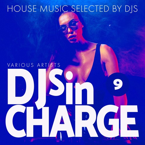 Djs in Charge, Vol. 9