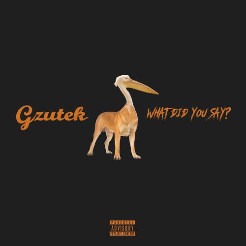 What Did You Say? (Explicit)