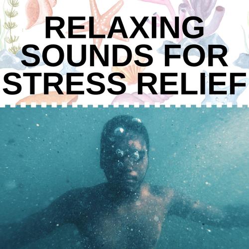 Relaxing Sounds for Stress Relief